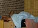 PICT1003