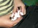 PICT1039